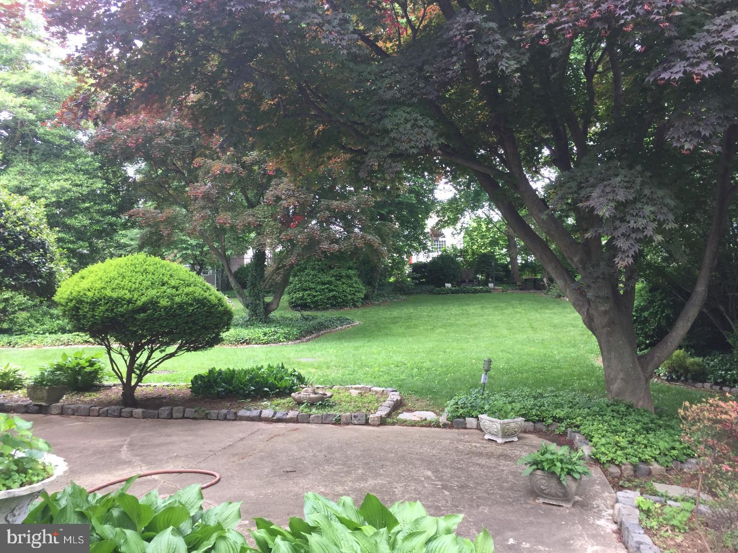13070 Proctor Road Philadelphia, PA 19116 - Photo 6 of 18 Back Yard