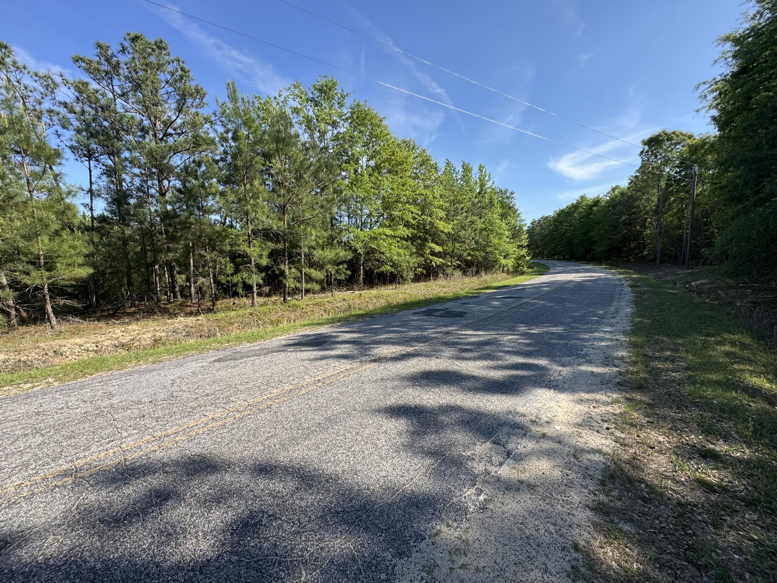 0 Huggins Road Rembert, SC 29128 - Photo 10 of 13 Gallery Image 10