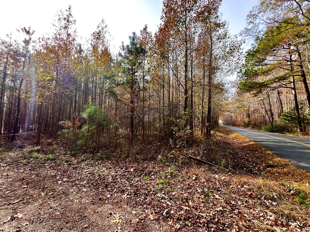Lot 11 Pungoteague Road, Unit 11 Melfa, VA 23410 - Photo 1 of 7