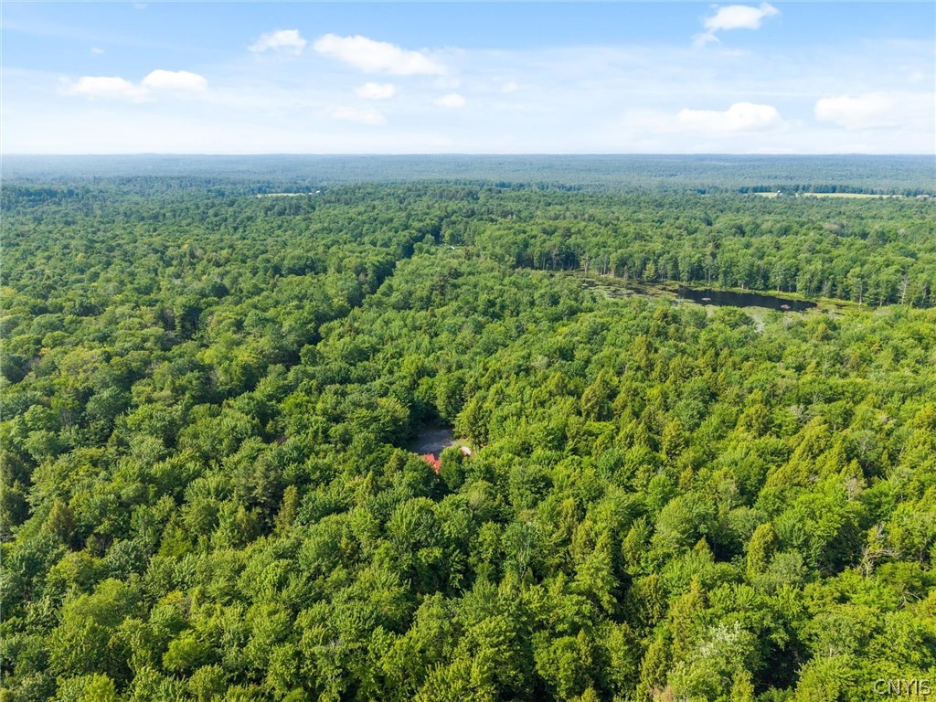 9831 Steam Mill Road Camden, NY 13316 - Photo 41 of 42 Explore nearly 36 acres right from your backyard.