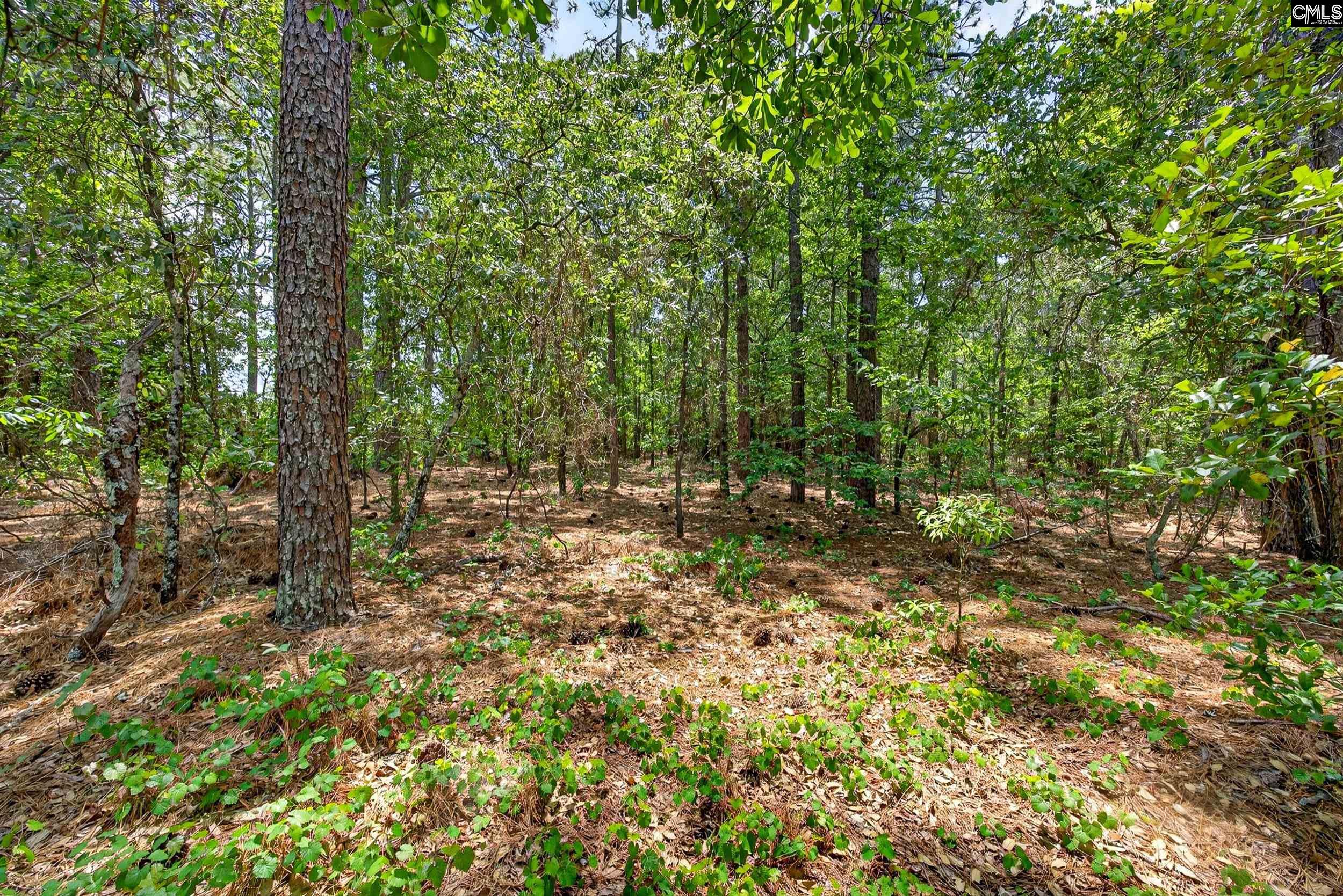 614 Longs Pond Road Lexington, SC 29073 - Photo 73 of 74