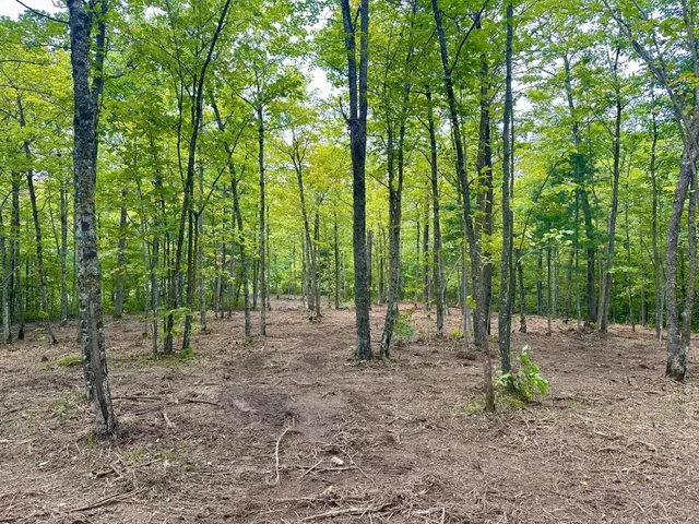 $95,000 | 157 County Road 157 Northeast, Remer, MN 56672