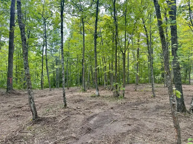 $95,000 | 157 County Road 157 Northeast, Remer, MN 56672