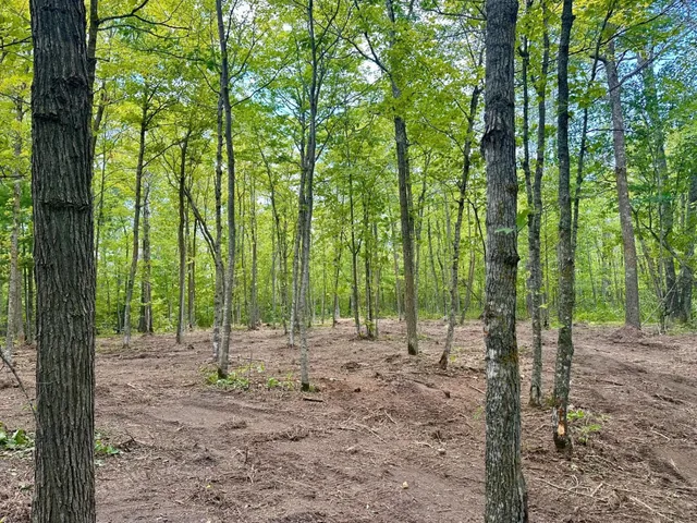 $95,000 | 157 County Road 157 Northeast, Remer, MN 56672