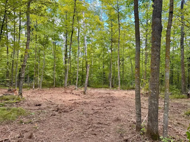 $95,000 | 157 County Road 157 Northeast, Remer, MN 56672