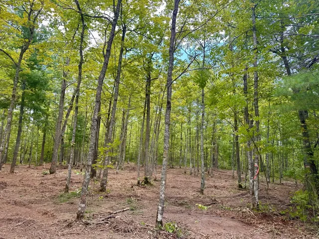 $95,000 | 157 County Road 157 Northeast, Remer, MN 56672