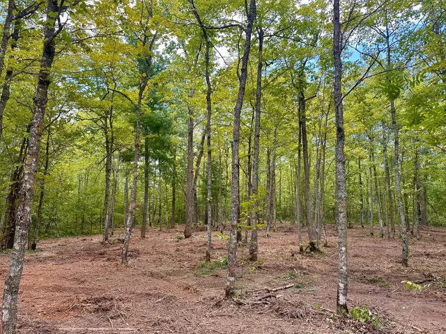 $95,000 | 157 County Road 157 Northeast, Remer, MN 56672