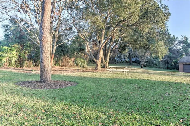 a view of a field with trees in background