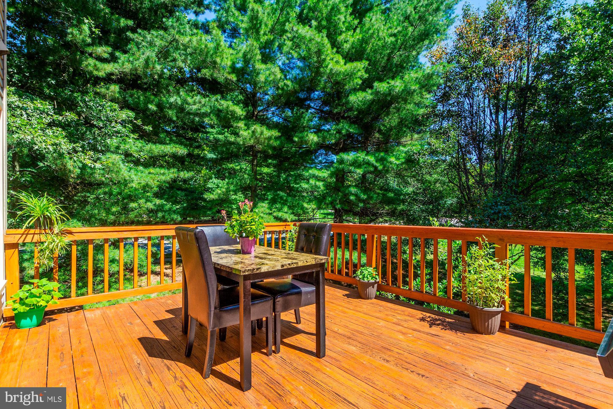 4655 Columbia Road Ellicott City, MD 21042 - Photo 18 of 40 Deck off kitchen