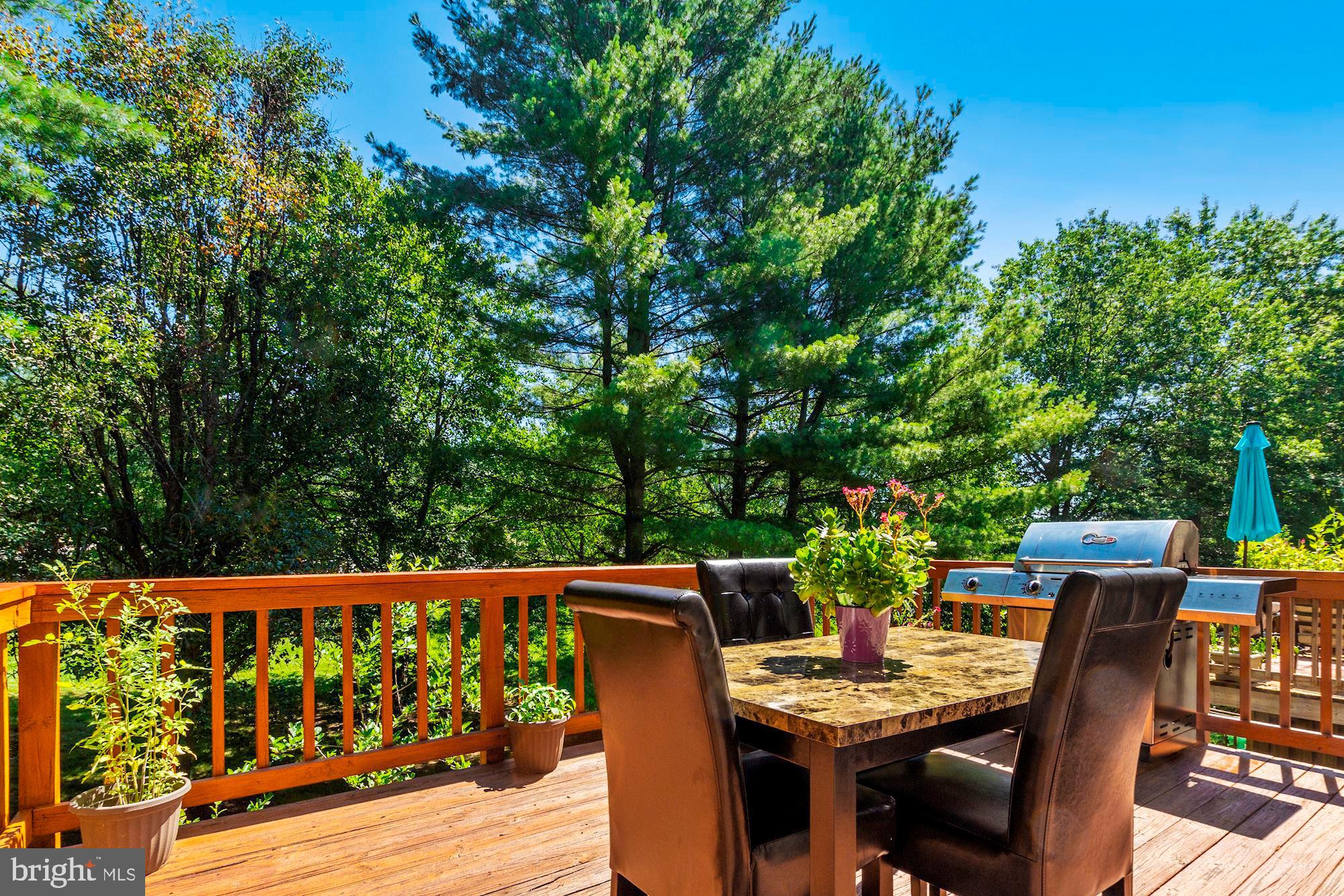 4655 Columbia Road Ellicott City, MD 21042 - Photo 19 of 40 Deck off kitchen