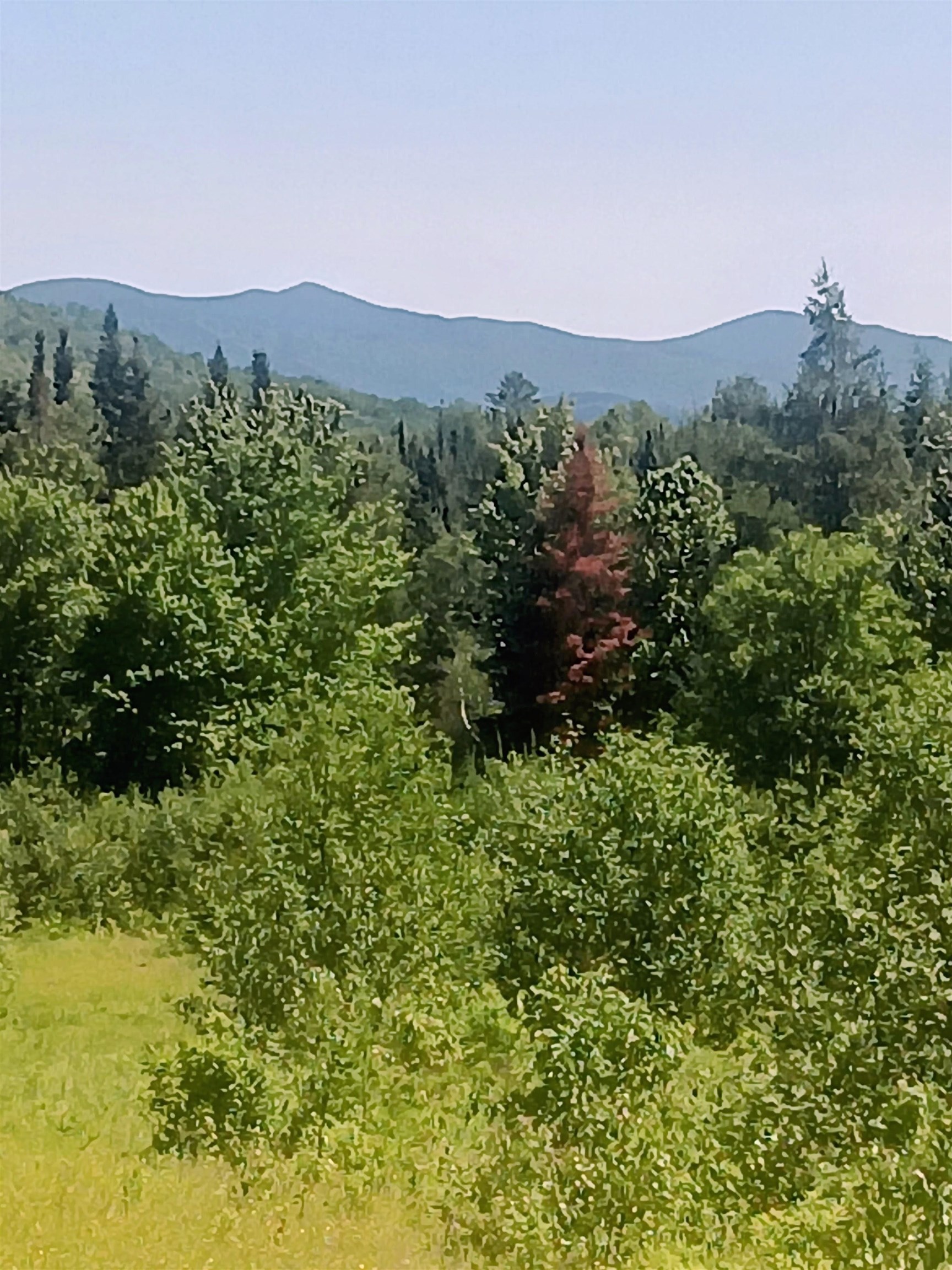 5108 N Road Maidstone, VT 05905 - Photo 29 of 29