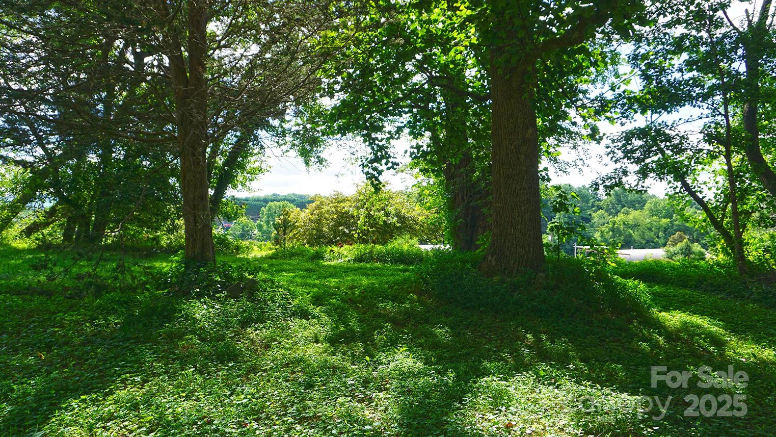 57 Sizer Drive Mills River, NC 28759 - Photo 3 of 16 a view of outdoor space and yard