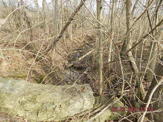 10 Downing Road Delaware, OH 43015 - Photo 9 of 20