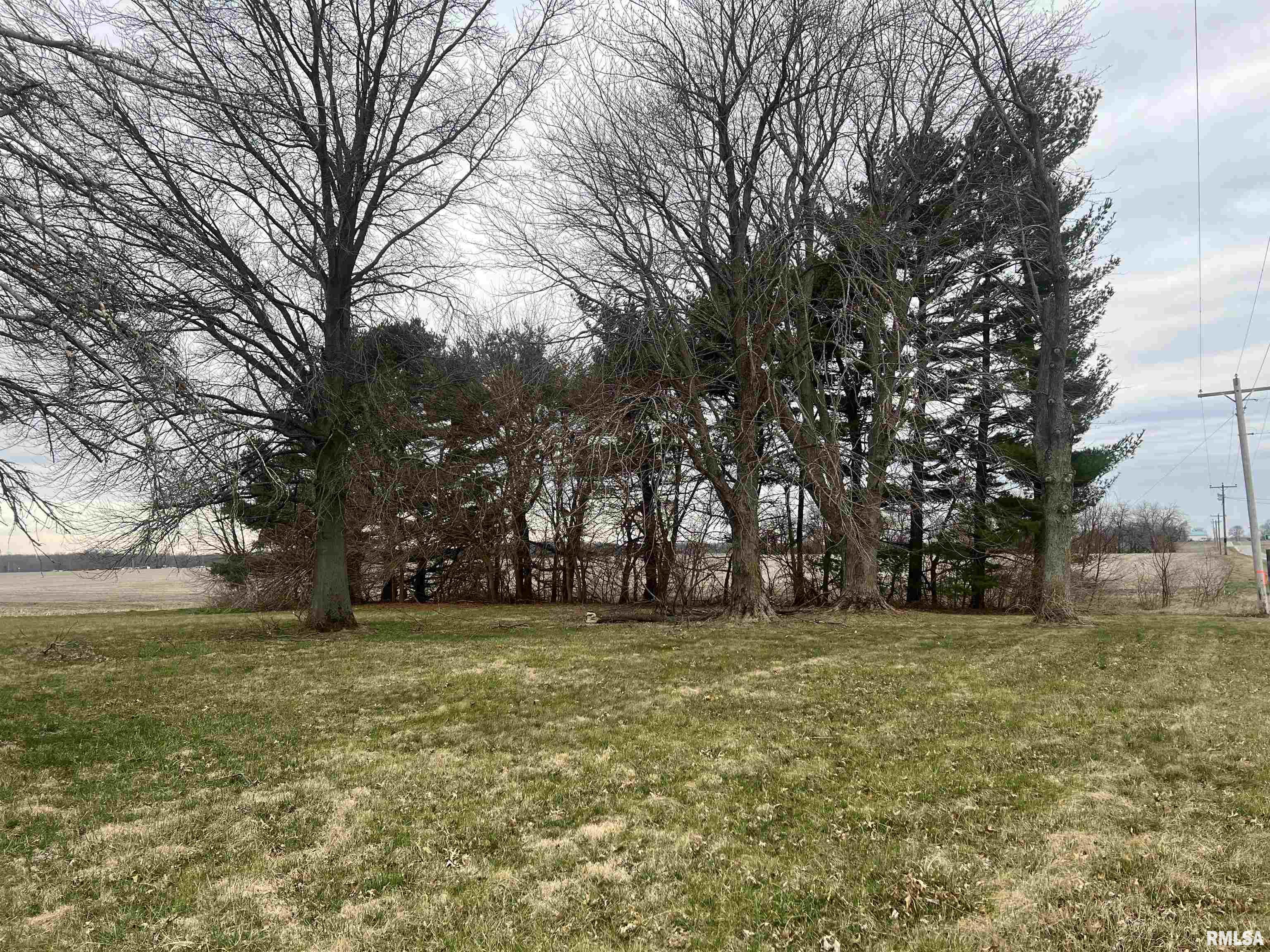 2247 Hembrough Road Jacksonville, IL 62650 - Photo 3 of 25