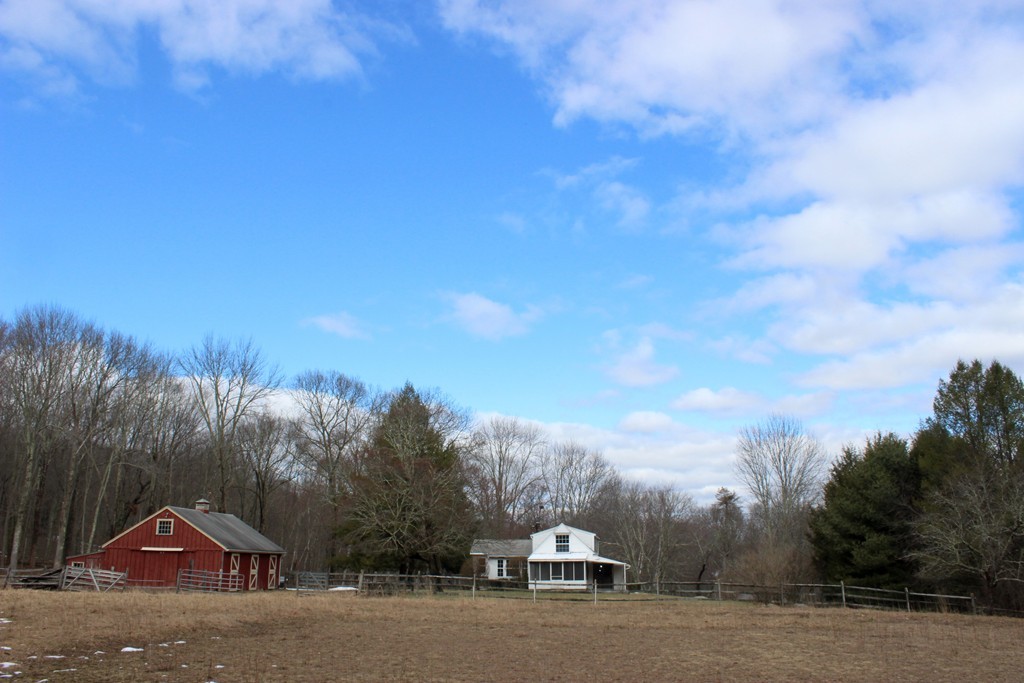 a view of a town with trees around