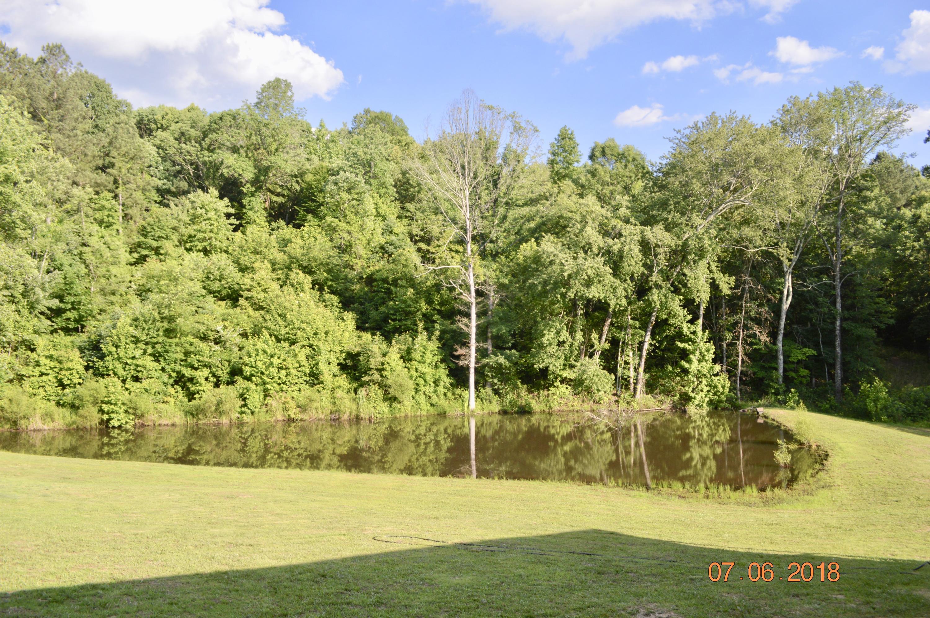 867 Redman Lane Decatur, TN 37322 - Photo 47 of 71 fullsizeoutput_5351