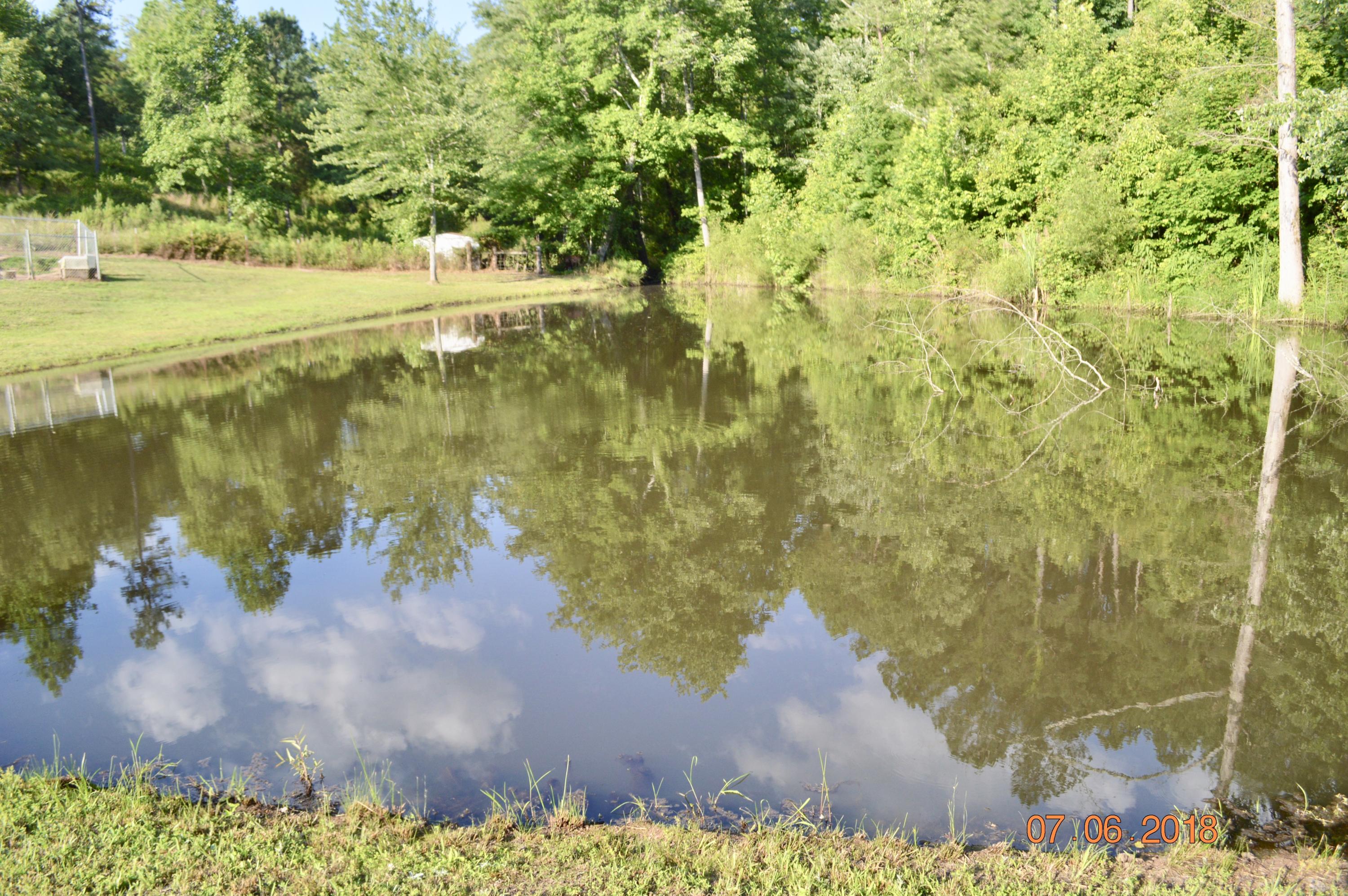 867 Redman Lane Decatur, TN 37322 - Photo 49 of 71 fullsizeoutput_5309