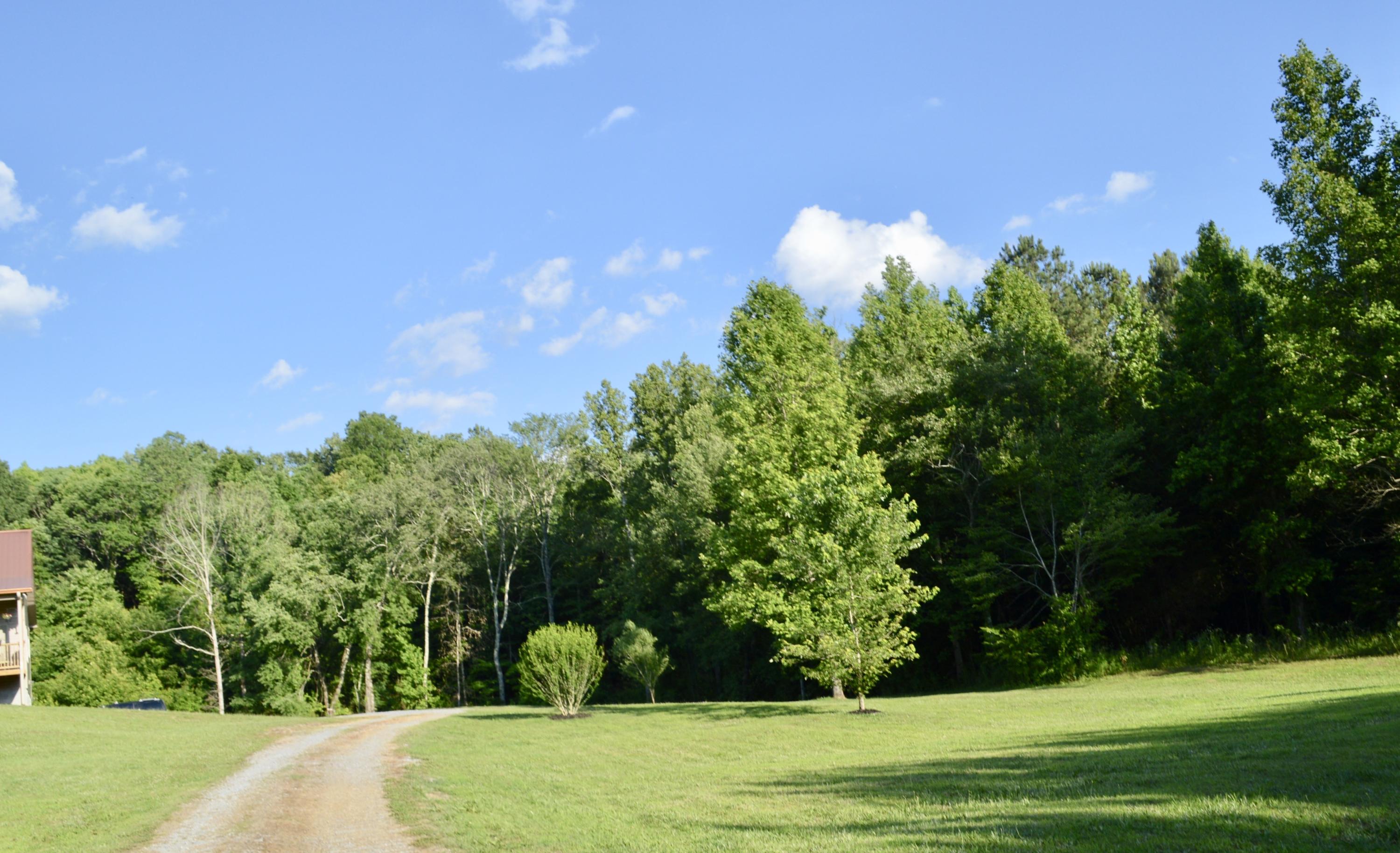867 Redman Lane Decatur, TN 37322 - Photo 53 of 71 fullsizeoutput_52e3