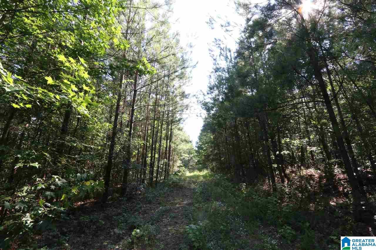 0 Carnes Chapel Road, Unit 113 Gallant, AL 35972 - Photo 26 of 32