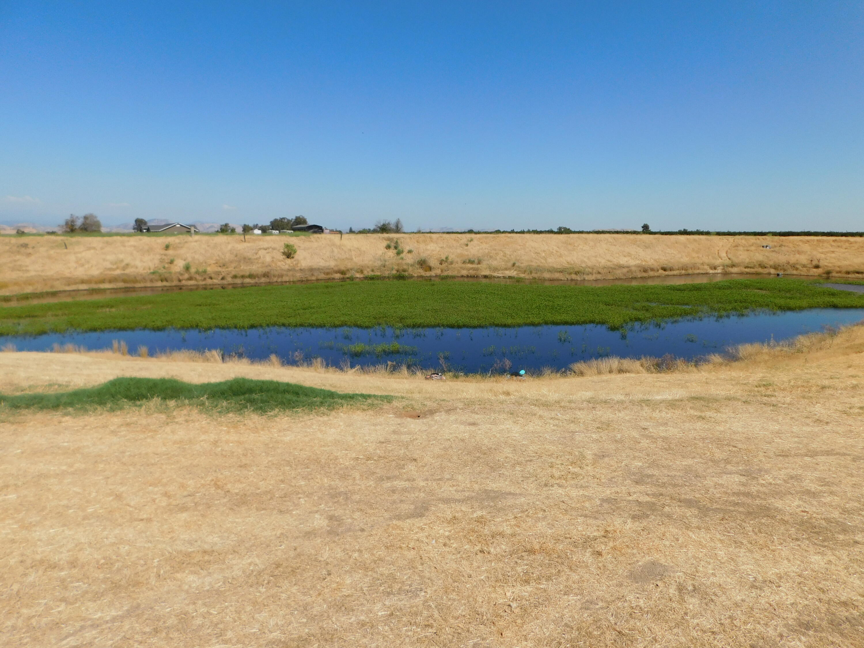 20367 Goodfellow Avenue Reedley, CA 93654 - Photo 84 of 123 810
