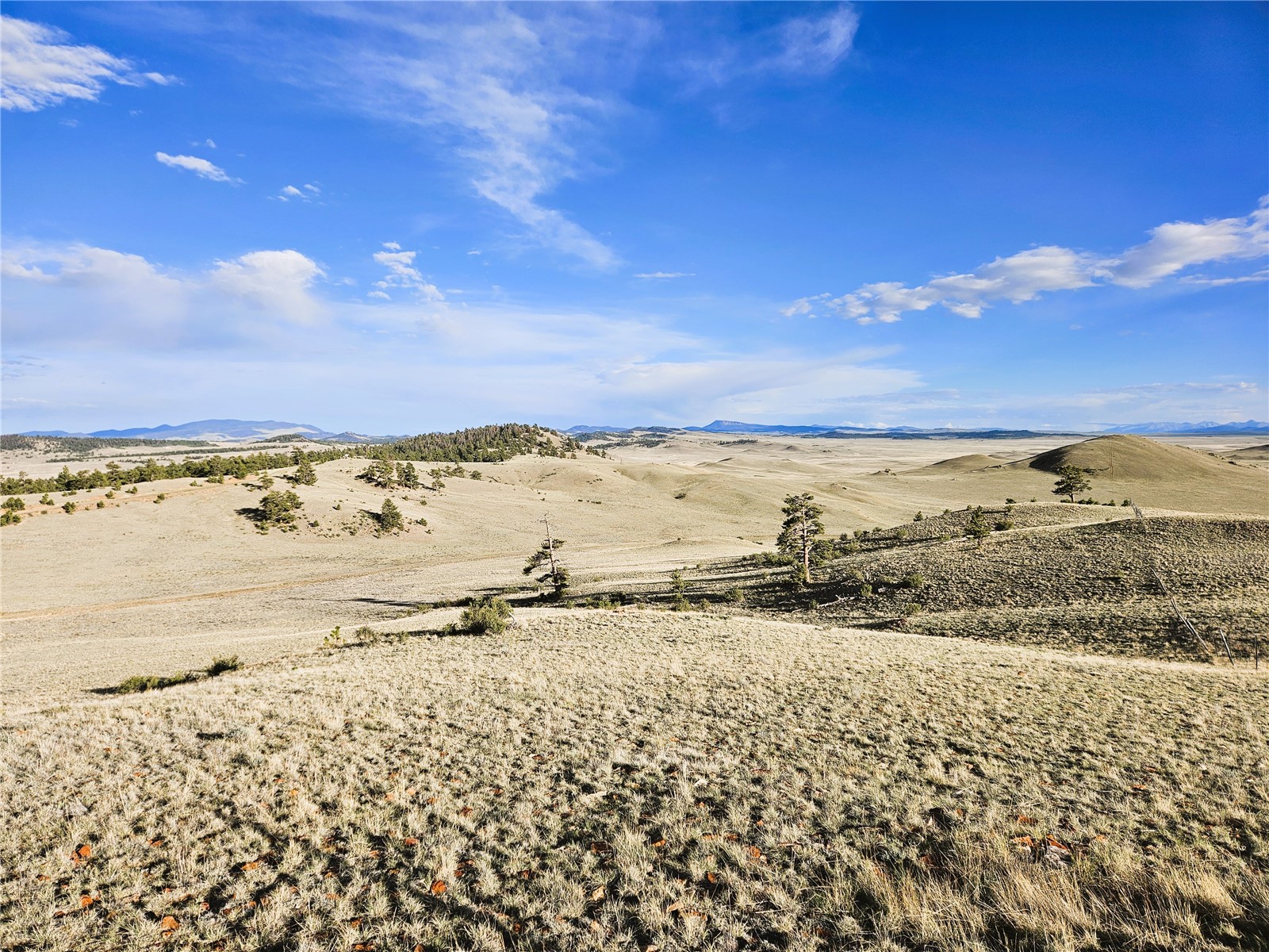 Pcs#24142 Antero Road Hartsel, CO 80449 - Photo 26 of 50