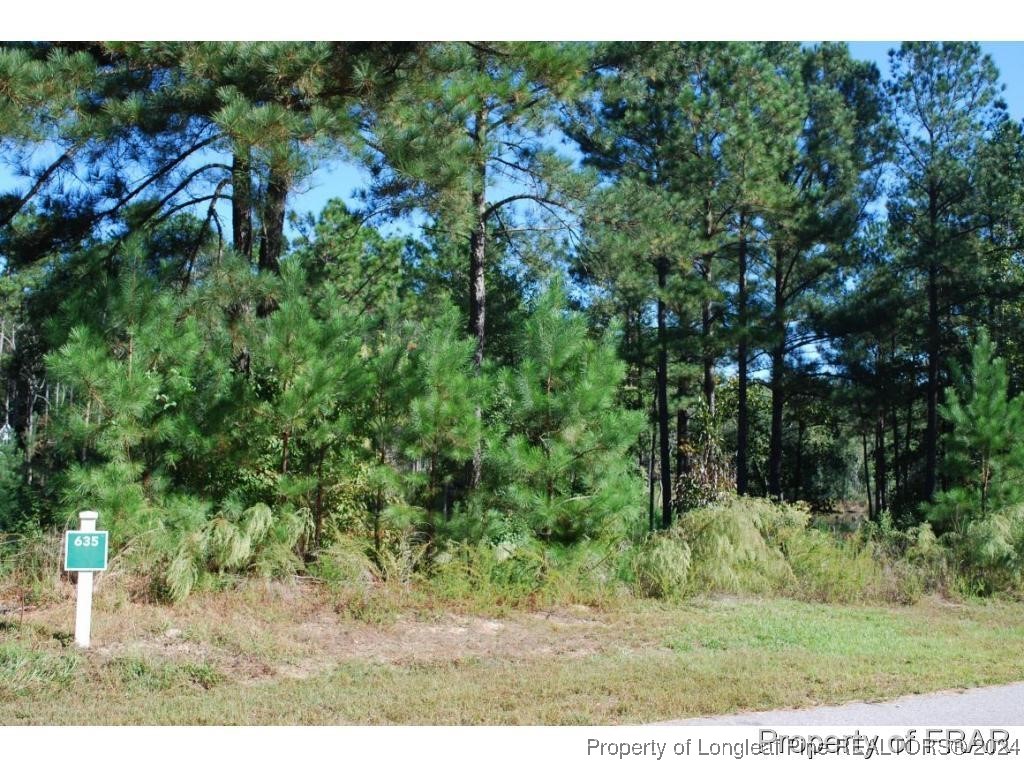 152 Broadlake Lane Spring Lake, NC 28390 - Photo 2 of 10