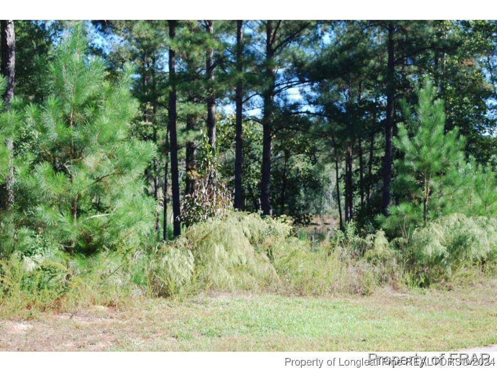 152 Broadlake Lane Spring Lake, NC 28390 - Photo 3 of 10