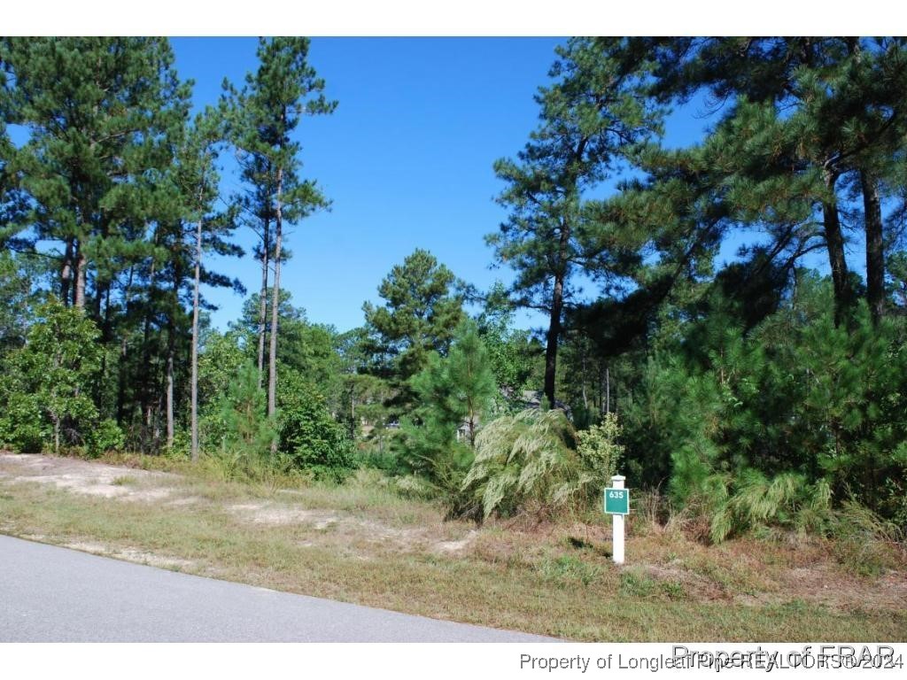 152 Broadlake Lane Spring Lake, NC 28390 - Photo 4 of 10