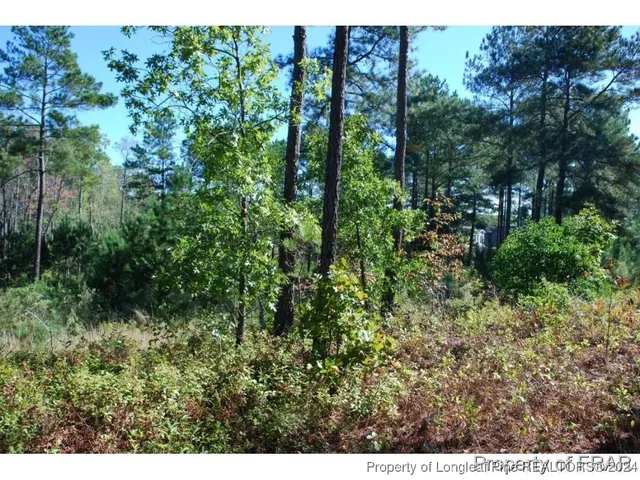 $115,000 | 152 Broadlake Lane, Spring Lake, NC 28390