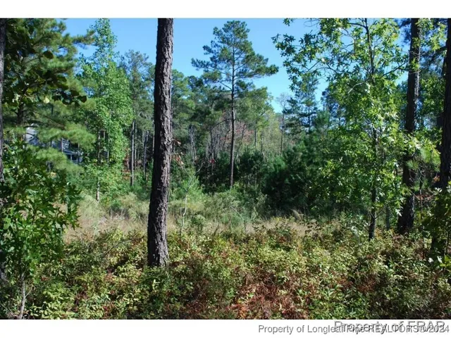 $115,000 | 152 Broadlake Lane, Spring Lake, NC 28390