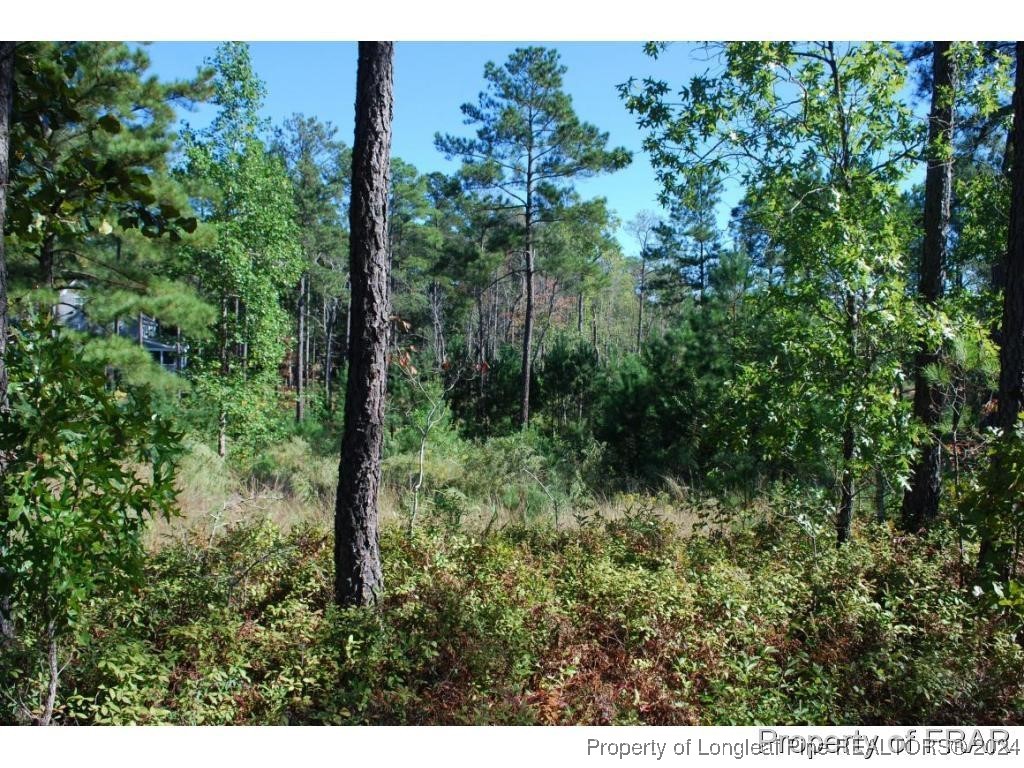 152 Broadlake Lane Spring Lake, NC 28390 - Photo 7 of 10