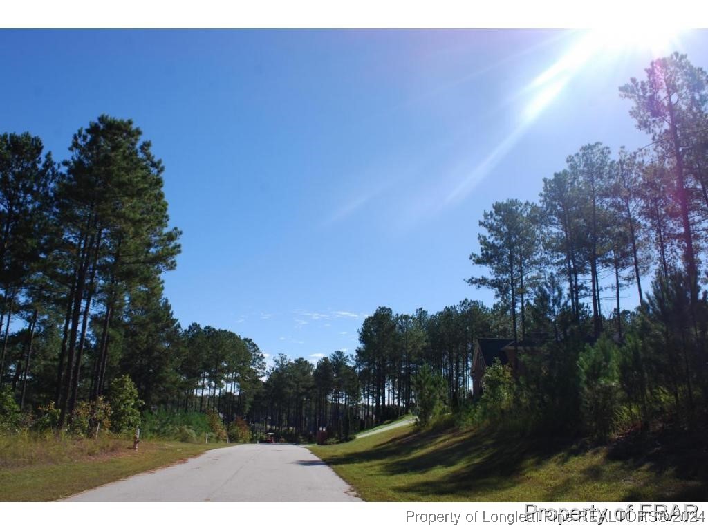 152 Broadlake Lane Spring Lake, NC 28390 - Photo 8 of 10