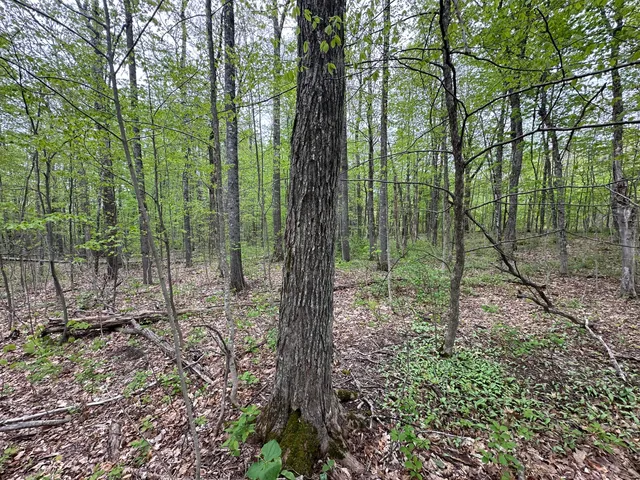 $36,000 | 0 Us-1, Amity, ME 04471
