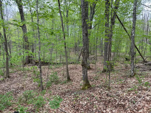 $36,000 | 0 Us-1, Amity, ME 04471