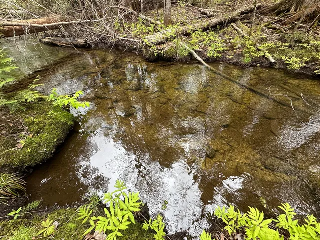 $36,000 | 0 Us-1, Amity, ME 04471