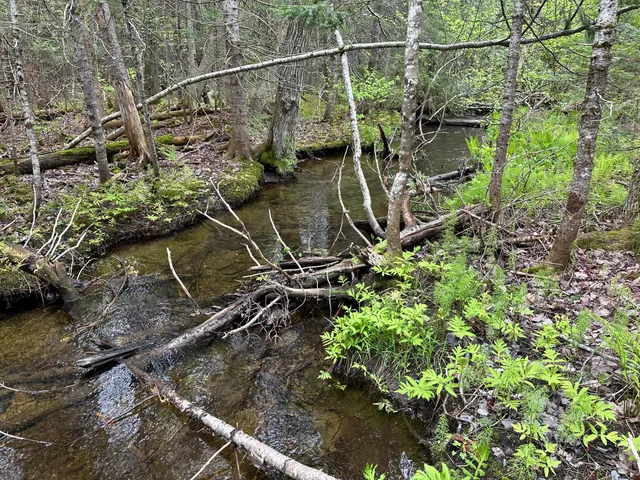 $36,000 | 0 Us-1, Amity, ME 04471