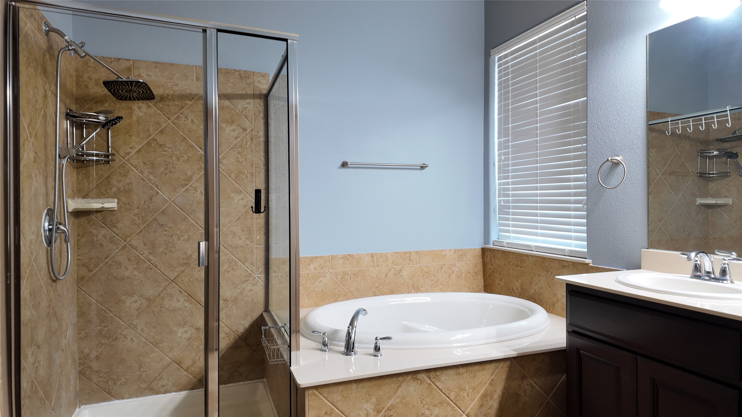 1601 Nelson Ranch Loop Cedar Park, TX 78613 - Photo 11 of 25 Bathroom with vanity, a stall shower, and a garden tub