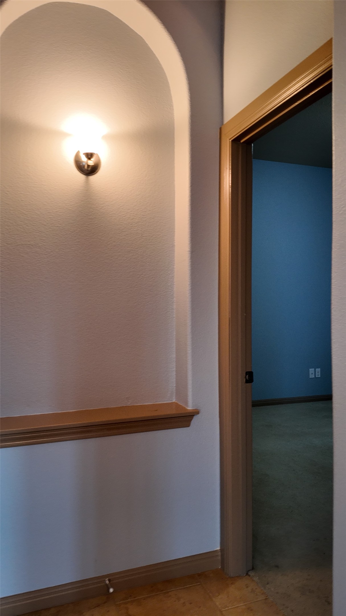 1601 Nelson Ranch Loop Cedar Park, TX 78613 - Photo 13 of 25 Corridor with baseboards and arched walkways