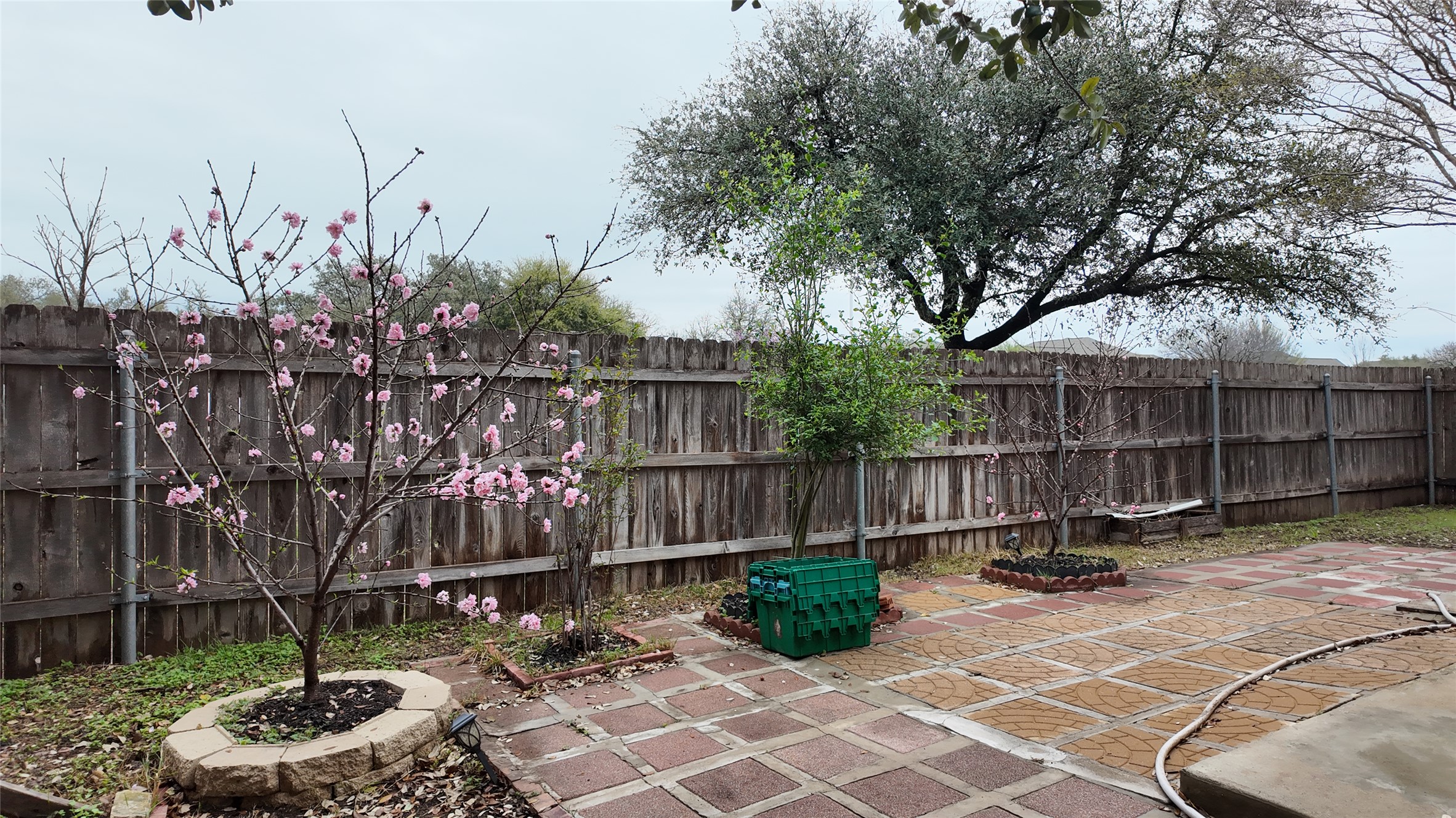 1601 Nelson Ranch Loop Cedar Park, TX 78613 - Photo 20 of 25 Fenced backyard with a patio area