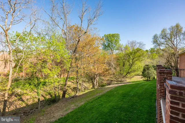 a view of yard with tree in the background