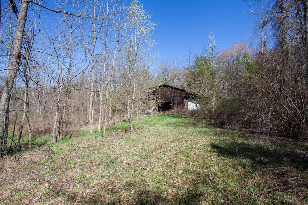 95 Cateye Road Robbinsville, NC 28771 - Photo 11 of 18 Gallery Image 11