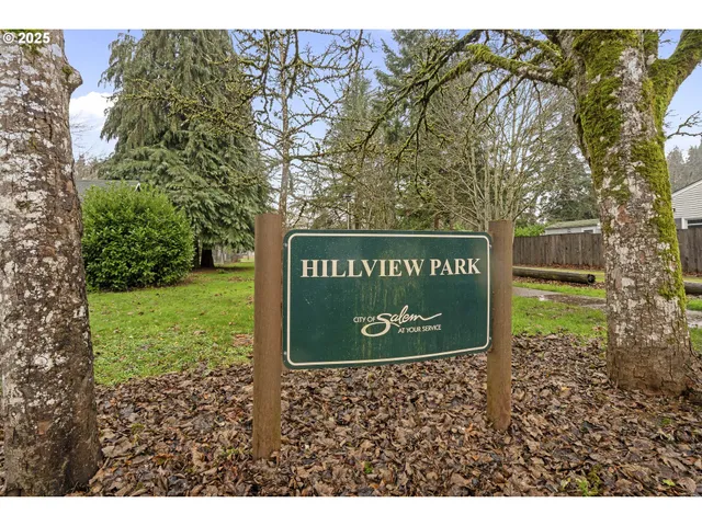 a view of a park with large trees