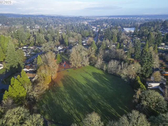 a view of a city with green space