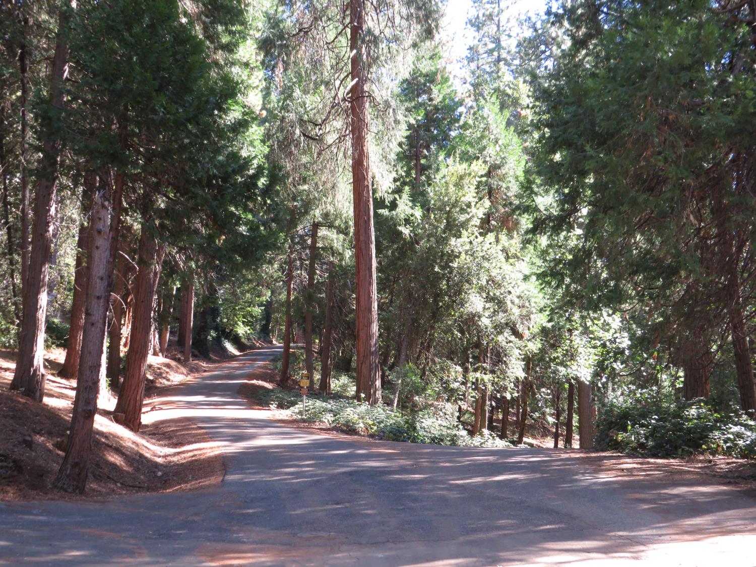 172 Sylvan Road Colfax, CA 95713 - Photo 5 of 19 a view of outdoor space with street view