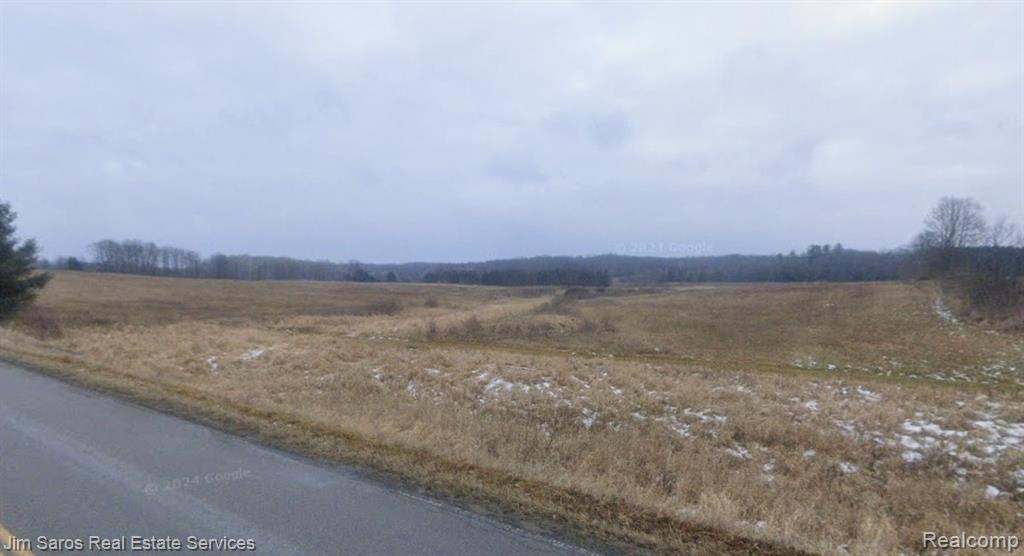 4771 East County Line Road South Branch, MI 48761 - Photo 2 of 13