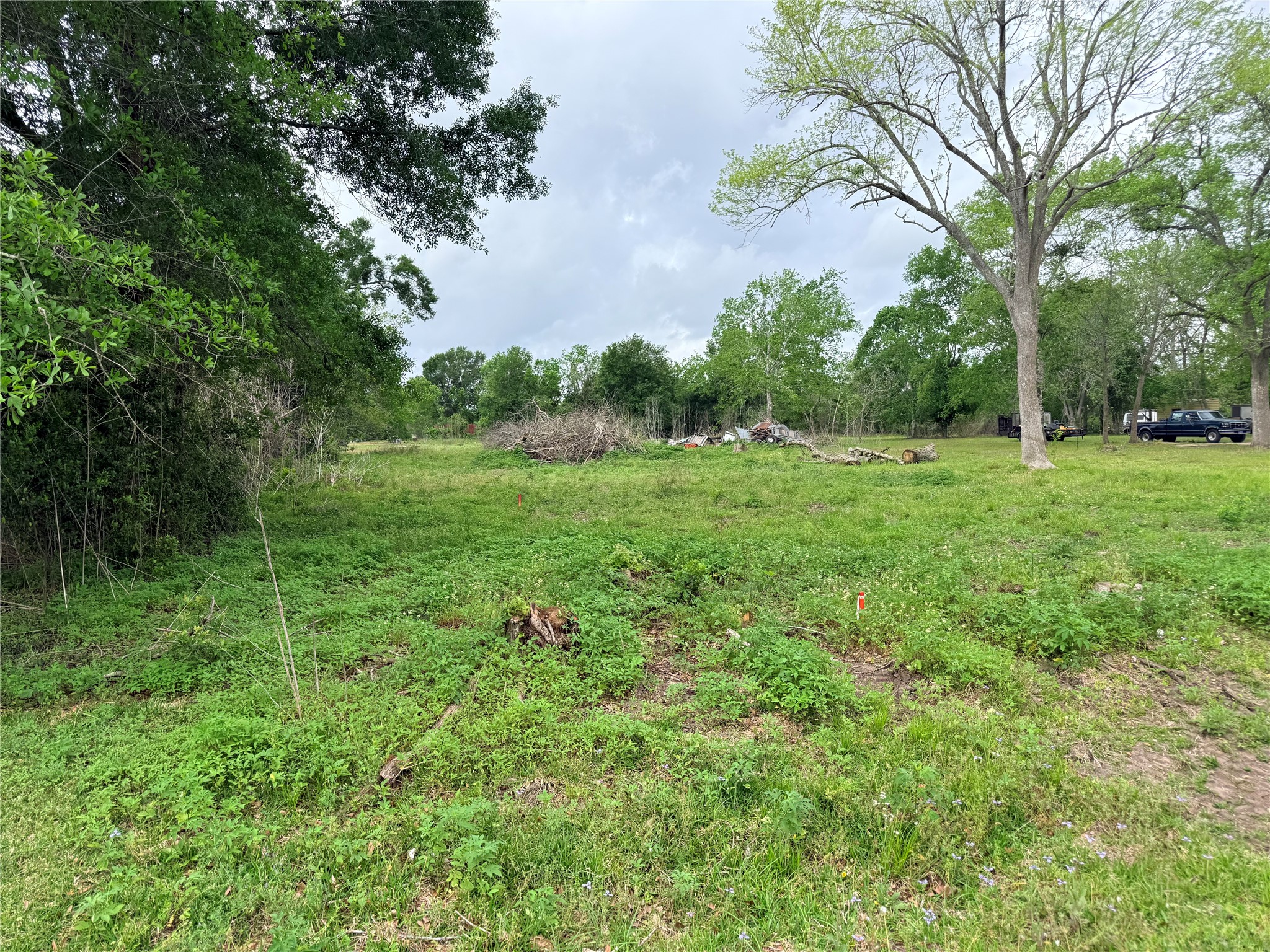3704 Boone Damon, TX 77430 - Photo 2 of 3 a view of a lush green space