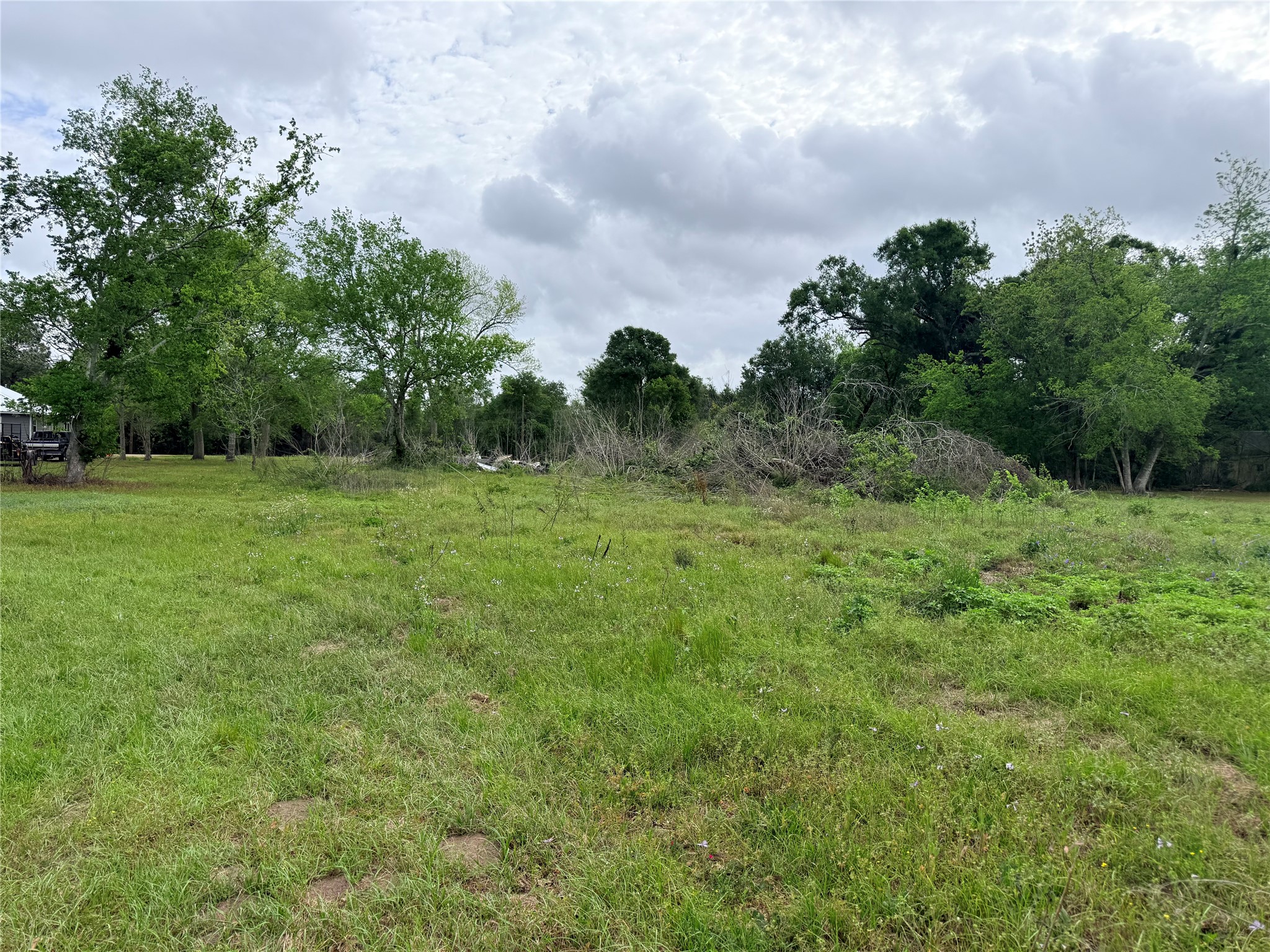 3704 Boone Damon, TX 77430 - Photo 3 of 3 a view of a grassy field with trees in the background