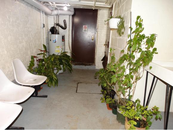 2116 Dorchester Road, Unit 1I Brooklyn, NY 11226 - Photo 14 of 14