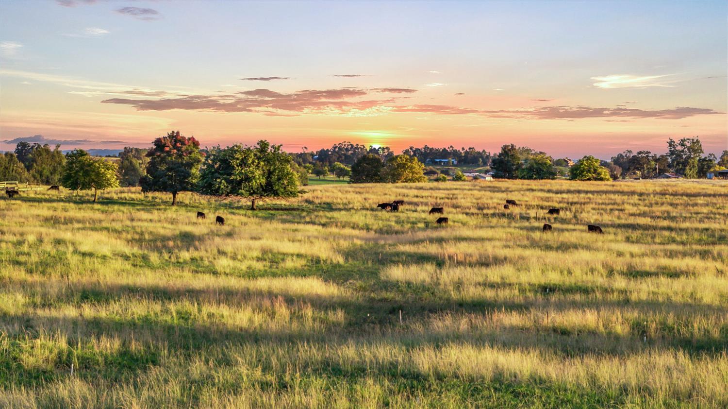 2071 Northridge Road Lincoln, CA 95648 - Photo 3 of 21 a view of an ocean