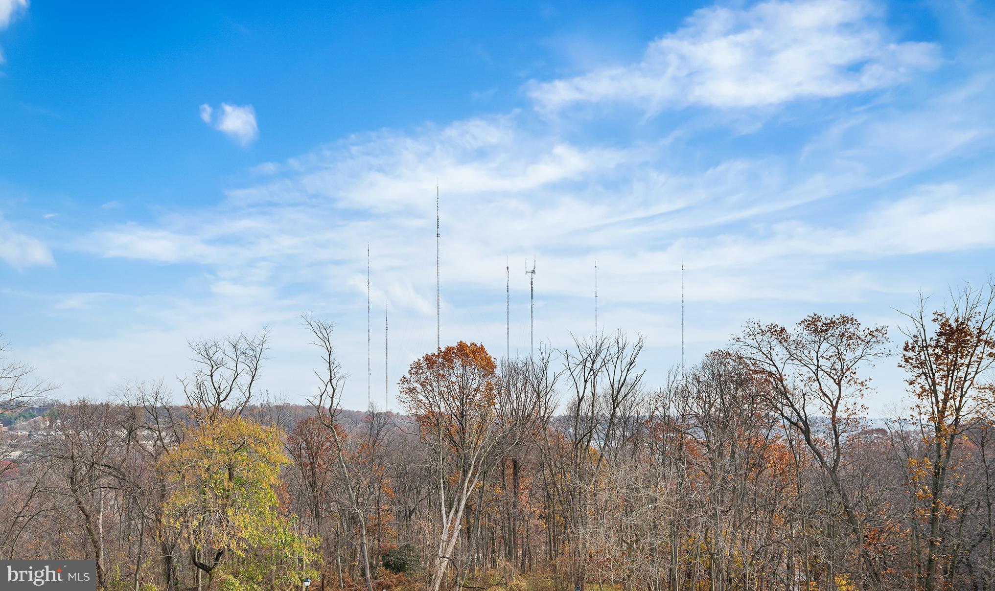 1655 Oakwood Drive, Unit N420 Narberth, PA 19072 - Photo 21 of 36 a view of a lake with a big yard